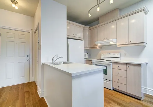 Condo à vendre - 10236 Rue Lajeunesse, Ahuntsic/Cartierville, H3L 2E2