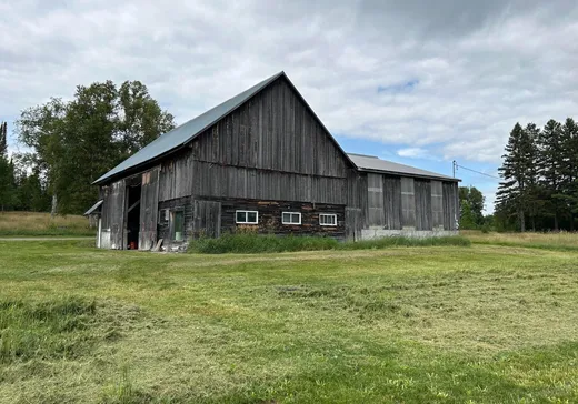 Maison à vendre - 9152 Boul. Rideau, Rouyn-Noranda, J0Z 2X0