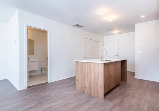 Condo à vendre - 2335 Rue des Équinoxes, Saint-Laurent, H4R 0R6