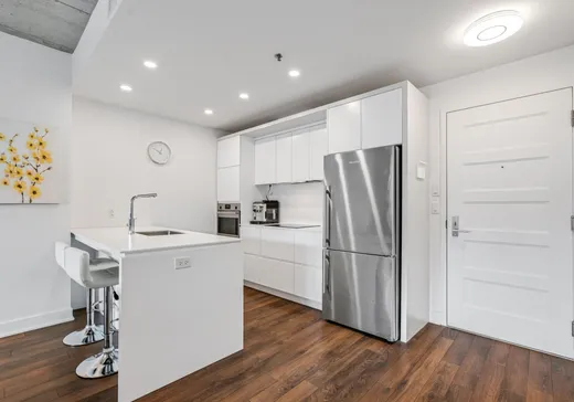 Condo à vendre - 2350 Rue Wilfrid-Reid, Saint-Laurent, H4R 0N4