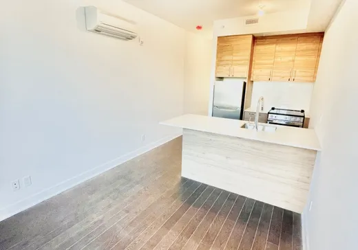 Condo à vendre - 1400 Rue Ottawa, Montreal-Downtown, H3C 0Y9