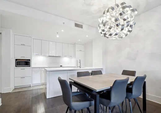 Condo à vendre - 365 Rue St-André, Ville-Marie (Montréal), H2L 0G2