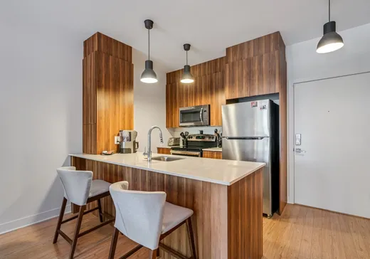 Condo à vendre - 2350 Av. Aird, Mercier/Hochelaga-Maisonneuve, H1V 2W6