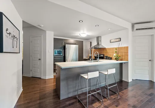 Condo à vendre - 3155 Av. Ernest-Hemingway, Saint-Laurent, H4R 0A2