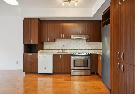 Condo à vendre - 1150 Rue St-Denis, Montreal-Downtown, H2X 0B3