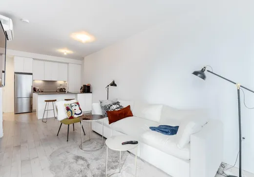 Condo à vendre - 2320 Rue Tupper, Montreal-Downtown, H3H 0B8