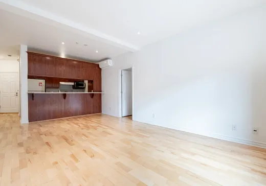 Condo à vendre - 320 Rue Sherbrooke O., Montreal-Downtown, H2X 1X9