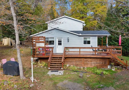 Maison à étages à vendre - 91 Ch. du Lac-à-l'Île, Gracefield, J0X1W0