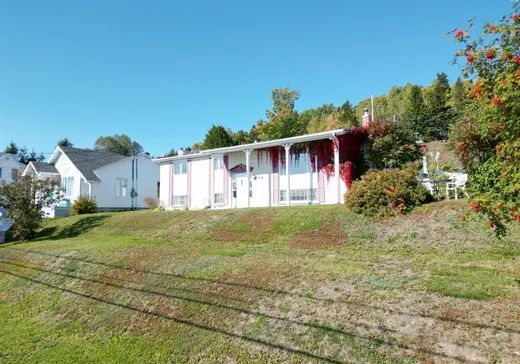 Maison à vendre - 268 Mtée de Wakeham, Gaspé, G4X 1V5