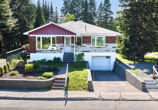 Maison à vendre - 232 Rue Principale, St-Donat-De-Montcalm, J0T 2C0