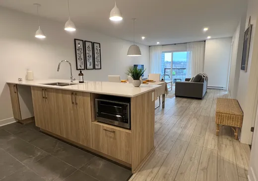 Condo à vendre - 52 Ch. de l'Horizon, Waterloo, J0E 2N0