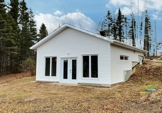 Maison à étages à vendre - 80 Ch. du Lac-Tortu, St-David-de-Falardeau, G0V1C0