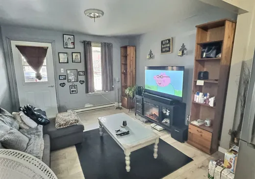 House for sale - 23 Rue F.-Cleyn, Godmanchester, J0S 1H0