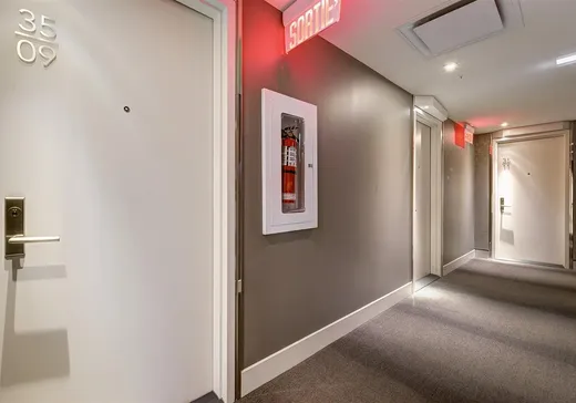 Condo à vendre - 1288 Av. des Canadiens-de-Montréal, Montréal (Centreville), H3B 3B3