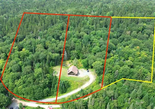 Maison à vendre - 221 Ch. de l'Avalanche, Mont-Tremblant, J0T 1P0