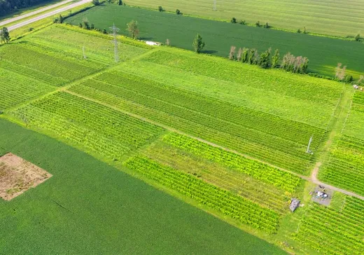 Fermette à vendre - 144-148 Ch. Rivière-Delisle S., Coteau-du-Lac, J0P 1B0