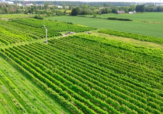 Fermette à vendre - 144-148 Ch. Rivière-Delisle S., Coteau-du-Lac, J0P 1B0
