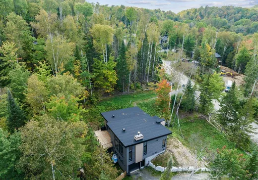 Maison à vendre - 355 Allée Paisible, Mont-Tremblant, J8E 0E9
