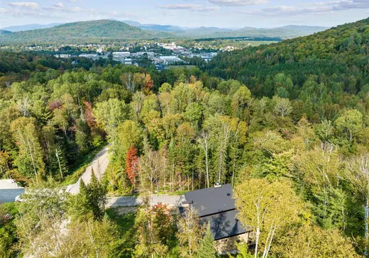 Maison à vendre - 355 Allée Paisible, Mont-Tremblant, J8E 0E9