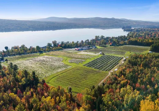 Hobby Farm for sale - 1257 Ch. de la Rivière, Magog, J1X 3E5