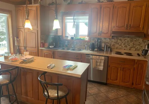 Maison à vendre - 206 Ch. Honora, Notre-Dame-Des-Boies, J0B 2E0