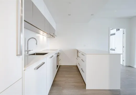 Condo for sale - 628 Rue St-Jacques, Montreal (Downtown), H3C0Z1