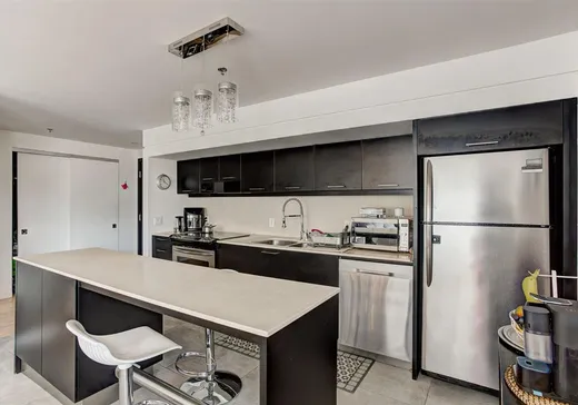 Condo for sale - 350 Boul. De Maisonneuve O., Montreal-Downtown, H3A 0B4