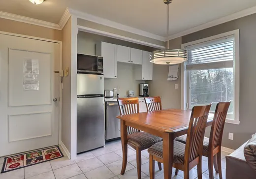Condo à vendre - 261 Rue Merry S., Magog, J1X 3L2