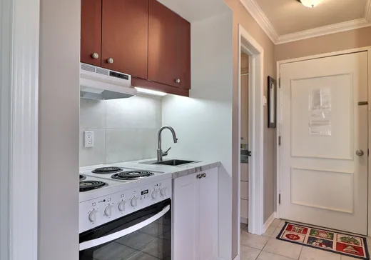 Condo à vendre - 261 Rue Merry S., Magog, J1X 3L2