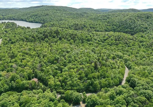 Maison à vendre - 1761 Ch. des Lacs, Mont-Tremblant, J0T 1J2