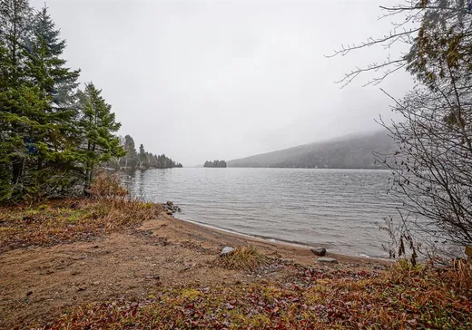 Maison à vendre - 111 Ch. de la Baie-de-l'ours N., St-Donat-De-Montcalm, J0T 2C0