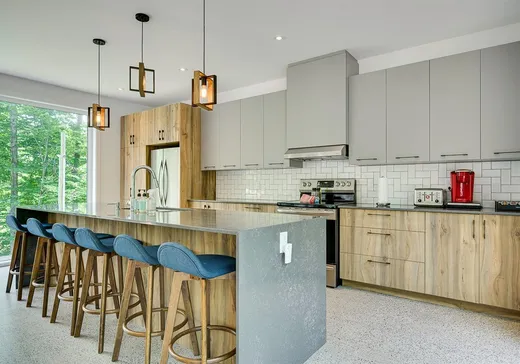 Maison à vendre - 10 Rue du Denali, Mont-Tremblant, J0T 1M0