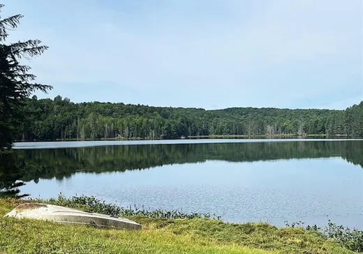 Fermette à vendre - 107Z Ch. Avoca, Grenville, J0V 1B0