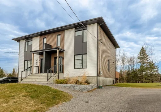 Maison à étages à vendre - 41 Rue Germain, Deschambault, G0A1S0
