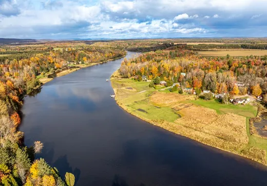 Maison à vendre - 318 Route Philomène-Thibodeau, St-Alban, G0A 3B0