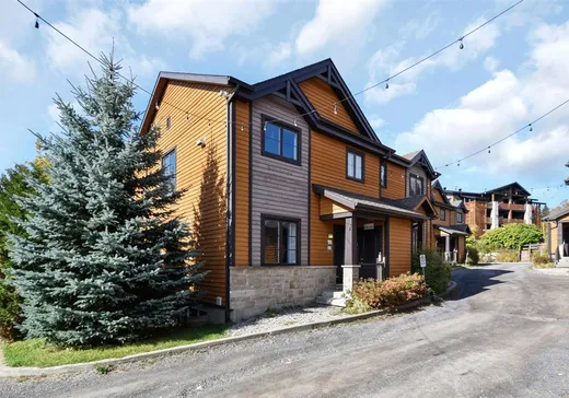 Two or more stories for sale - 19 Rue de la Tourbe, St-Ferreol-les-Neiges, G0A3R0