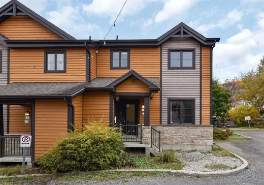 Maison à vendre - 25 Rue de la Tourbe, St-Ferreol-les-Neiges, G0A 3R0
