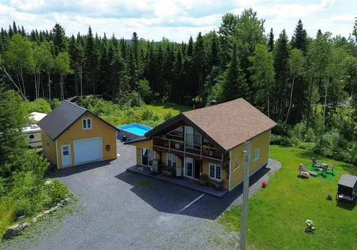 Maison à étages à vendre - 412 Rang 6-D Lac-Falardeau, Saint-Zacharie, G0M2C0