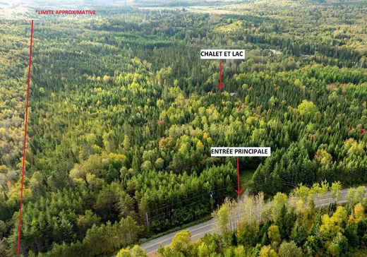Fermette à vendre - 582 Ch. Principal, Saint-Elzéar-de-Témiscouata, G0L 2W0