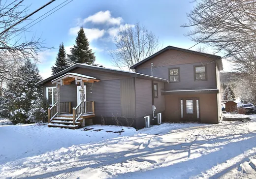 Maison à vendre - 6059 Rue de la Montagne, Valcourt, J0E 2L0