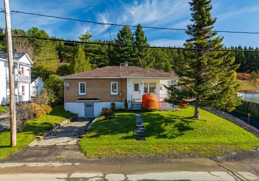 Maison à étages à vendre - 163 Rue Beaulieu, Causapscal, G0J1J0