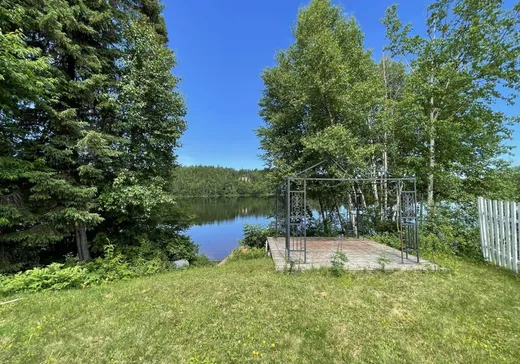 Maison à vendre - 45 Rue Principale, Lac-Edouard, G0X 3N0
