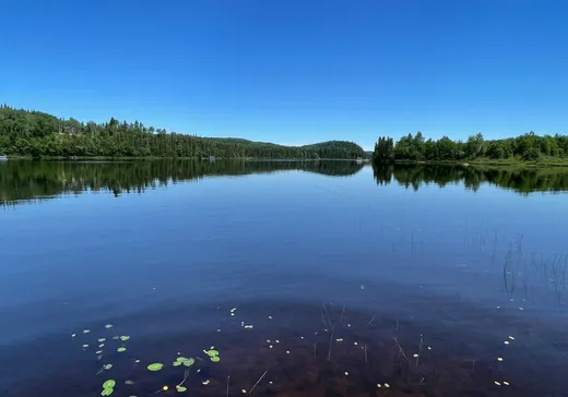 Maison à vendre - 45 Rue Principale, Lac-Edouard, G0X 3N0