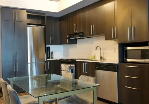 Condo à vendre - 1150 Rue St-Denis, Montréal (Centreville), H2H 0B5