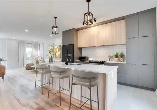 Maison à étages à vendre - 13570 Rue des Saules, Mirabel, J7N3G1