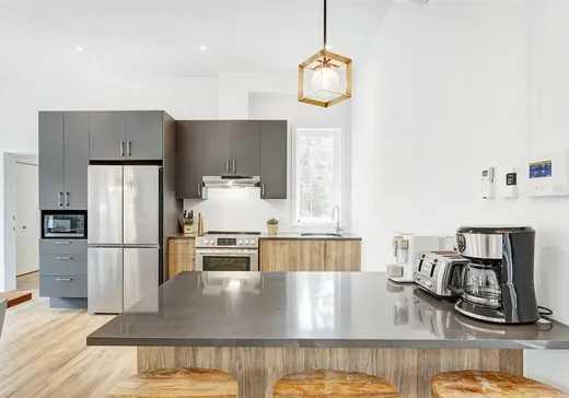 Maison à vendre - 35 Rue du Denali, Mont-Tremblant, J0T 1M0