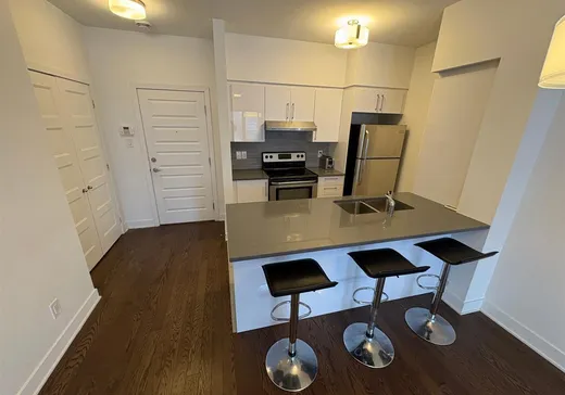 Condo à vendre - 181 Av. Brock S., Montréal-Ouest, H4X 2E7