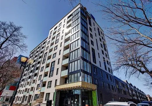 Condo à vendre - 1170 Rue Montcalm, Montréal (Ville-Marie), H2L0M2