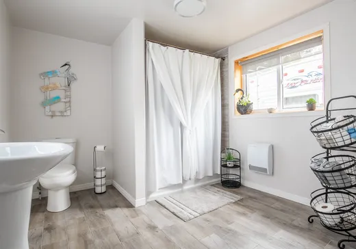 Maison à vendre - 176 Mtée Longpré, ND-Du-Laus, J0X 2M0