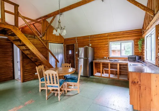 Maison à vendre - 176 Mtée Longpré, ND-Du-Laus, J0X 2M0